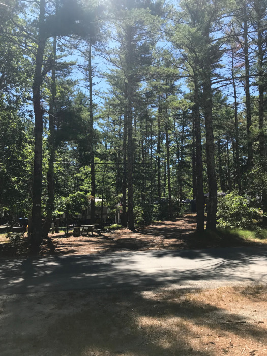 Pinewood Lodge Campground Plymouth, MA Campground Reviews